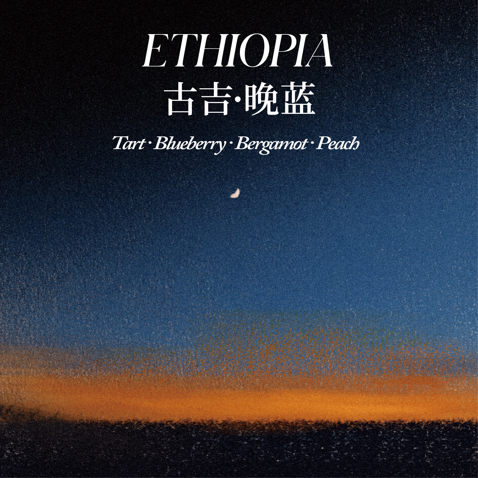 埃塞俄比亚 古吉 晚蓝 原生种 G1 日晒处理